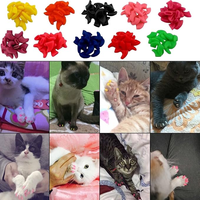 VICTHY Cat Nail Caps, 100pcs Medium Size 5 Colors with Glue and Applicators, Safe for Cat Claw Care, Protect Homes and Furniture, Prevent Scratch Disease, Long-lasting, Skin-friendly