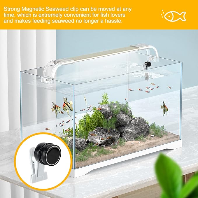 Seaweed Clip Strong Magnetic Seaweed Fish Feeder Clip Portable Fish Tank Feeder Mini Veggie Feeder Clip Practical Fish Tank Accessories for Fish and Aquatic Pets, Automatic Fish Feeder, Fish Feeder