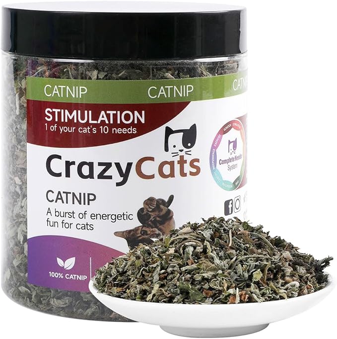 100% Natural Catnip and Pure Catnip for Your Furry Friend Taste Funny Cat Toy New Cat Toy Interactive Cat Toys Pet Supplies