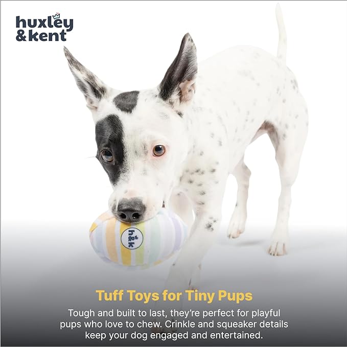 Huxley & Kent Funny Dog Toy w/Squeaker – Power Plush Squeaky Dog Toys for Small Dogs – Durable Small Stuffed Animal for Indoor Play & Fetch - Tiny Tuff Squeaky Eggs, 2pk