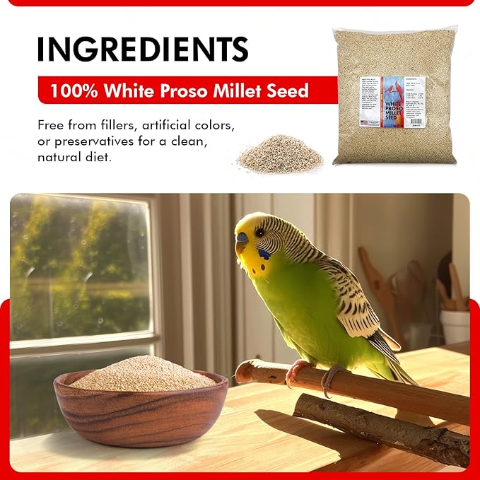 Morning Bird White Proso Millet 9 lbs – Unhulled Natural Bird Seed – Supports Feather Growth & Balanced Nutrition – High Energy Delicious Seed - Ideal for Finches, Parakeets & Pet Birds