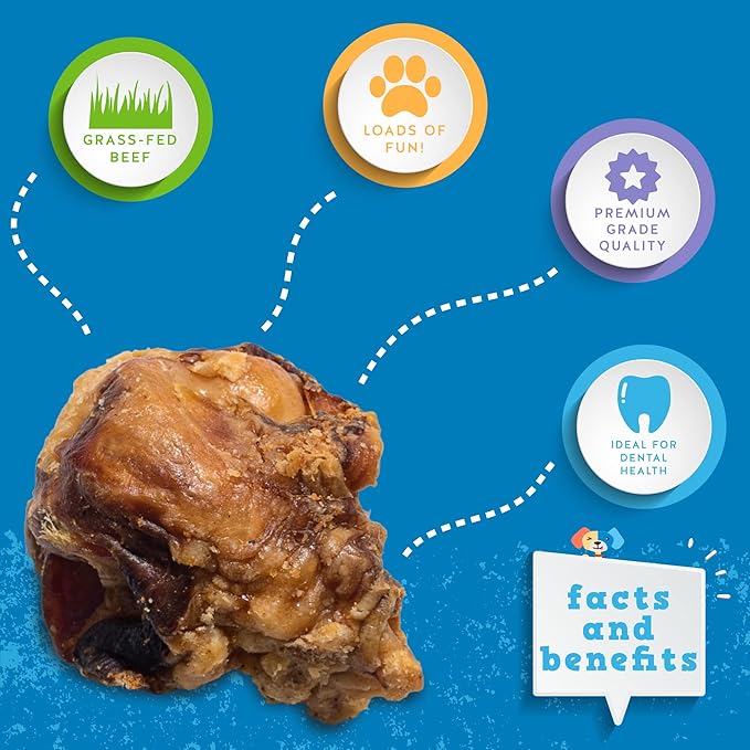 Jack&Pup Beef Bones (10 Pack), Knee Cap for Dogs, Long Lasting Natural Dog Bones, Beef Bone Knee Caps for Large Dogs