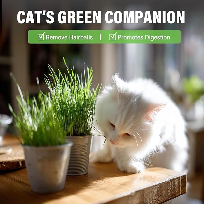 Cat Grass Treats for Indoor Cats, Digestive Health Support with Wheat Grass, Hairball Control Chews, Natural Grain-Free Snack for Kittens