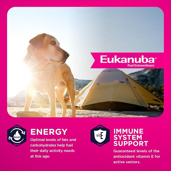 Eukanuba Senior Large Breed Dry Dog Food, 30 lb Bag