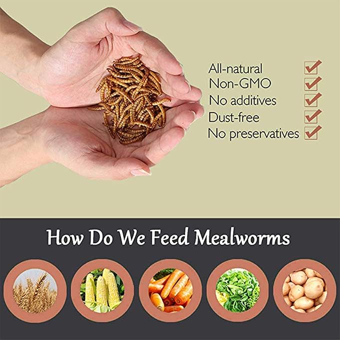 22 lbs Non-GMO Dried Mealworms for Wild Bird Chicken Fish,High-Protein,Lrage Meal Worms.