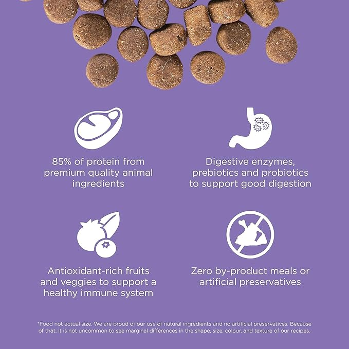 Go! Solutions Carnivore Chicken, Turkey + Duck Grain-Free Dry Senior Dog Food, Our Highest-Protein Kibble Made with Real Meat & Fish, Pumpkin & Probiotics for Good Digestion, 3.5 lb Bag