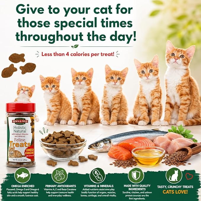 Bench & Field Holistic Natural Healthy Kitty Cat Treats | Crunchy Fish-Shaped Bites | Delicious Seafood Flavored Snack, 3-Ounce (Pack of 3 Bottles)