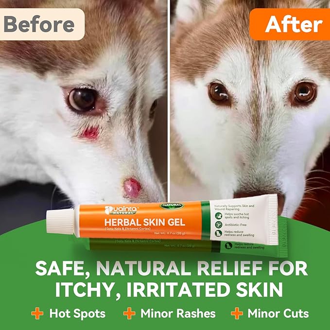 PUAINTA Dog Wound Care Herbal Skin Gel for Heals Wounds, Skin Irritation, Soothes Inflammation, Prevents Infection, Scratches & Minor Cuts, Natural Dog Wound Ointment