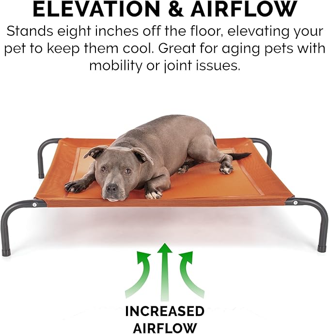 FurHaven Elevated Pet Cots - Cooling & Breathable Nylon Mesh Hammock for Dogs/Easy-to-Assemble / / Durable and Reinforced/Perfect for Rest & Relaxation Outdoors - Terracotta Red, Medium