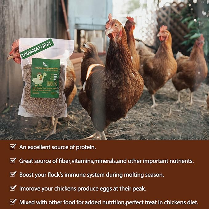 Non-GMO High-Protein Large Dried Mealworms for Chickens, Natural Grubs and Poultry Treats as Chicken Feed,Duck Food, Wild Birds Seed,Fish Food,Reptile Food,Amphibian Food(Mealworms-2LB)