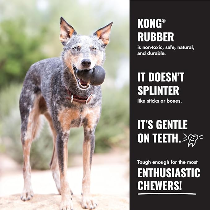 KONG Extreme Donut Dog Toy – Toughest Durable Natural Rubber Chew Toy for Power Chewers – Safe on Teeth & Gums, Fun Bounce & Roll for Indoor and Outdoor Play (Large/X-Large)