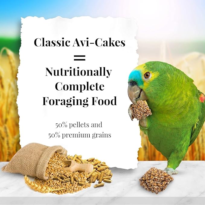 Lafebercares Avi-Cakes [Set of 2] Size: 7"