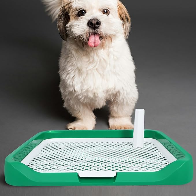 Dog Toilet Indoor Litter Box for Dogs and Puppies with Raised Edges Green Medium Size for Pet Housebreaking and Training
