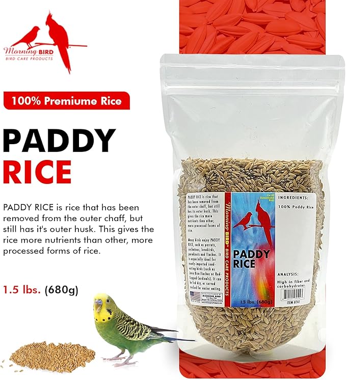 Morning Bird Paddy Rice 1.5 lbs Bird Seed for Health & Nutritious Bird Food – High Fiber with Natural Vitamins and Minerals - Supports Feathers & Immune Defense – Ideal for All Seed Eating Birds