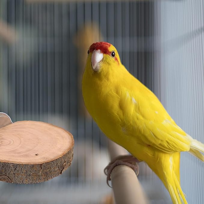 3pcs Small Animal Rotating Wooden Platform Set with Climbing Ladder for Bird Cage Accessories, 5-6cm Diameter, Hamster and Parrot Playground for Cage Enrichment