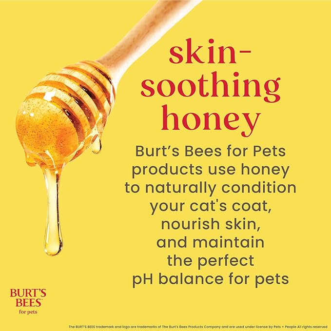 Burt's Bees for Pets Cat Dander Remover Wipes, Colloidal Oat Flour and Aloe to Soothe Dry Skin and Reduce Flaking, Unscented Grooming Cloths for Cats and Kittens, 50 Count - 3 Pack