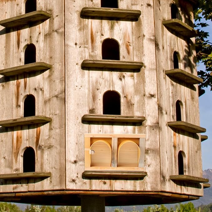 European Style Wooden Cage Door for Parakeets Pigeon Racing Supplies Easy Access