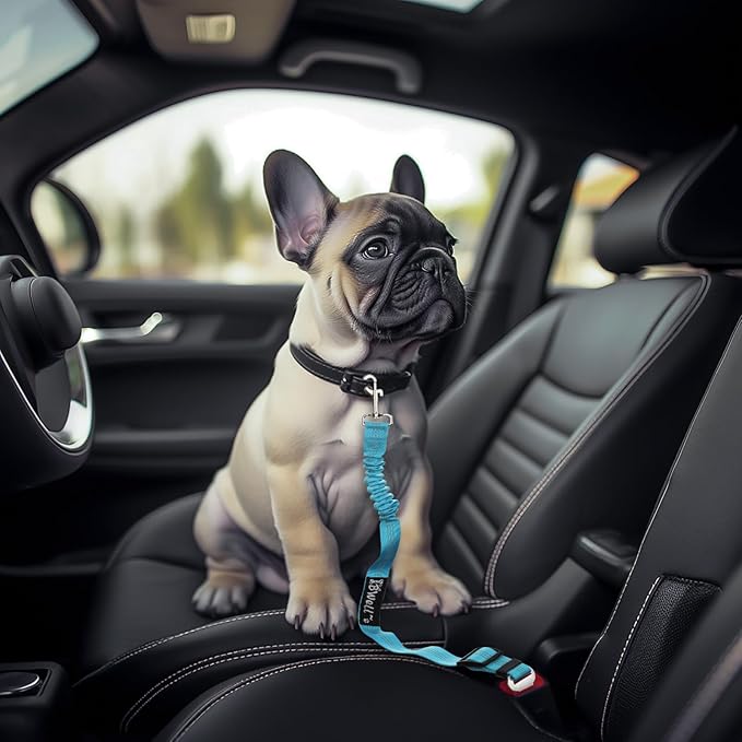 IBWell Dog Seat Belt with Elastic Bungee Leash, Car Seat Belt for Dogs (Orange, 2PCS-27.6")