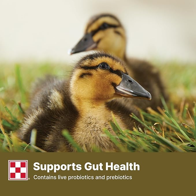 Purina | Nutritionally Complete Duck Feed for All Life-Stages | 4.5 Pound (4.5 LB) Bag