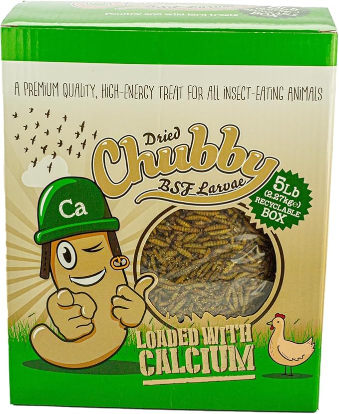 Chubby Dried Black Soldier Fly Larvae | 5 lbs Box | Non-GMO High-Protein Insect Treat for Chickens, Ducks & Wild Birds – Calcium-Rich Chicken Feed