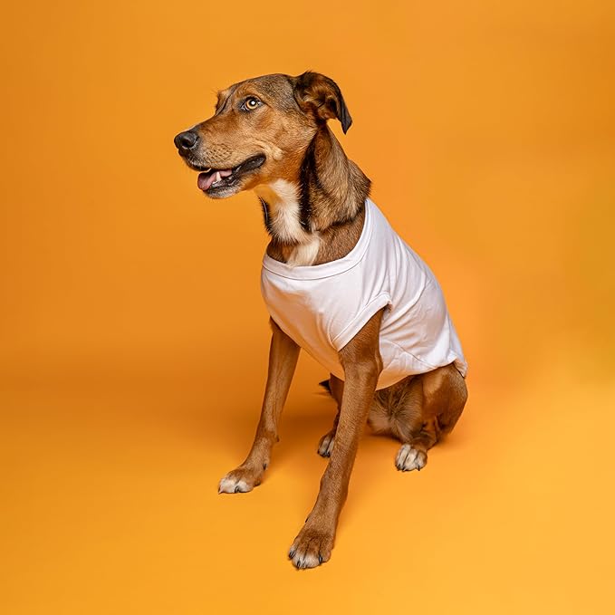 Portugal Flag Soccer Jersey Style Dog Tee Shirt | Sleeveless Breeds | International Soccer | Game Day |White, 5X-Large 1653