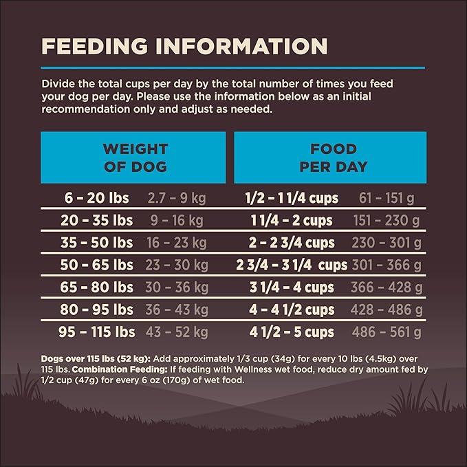 Wellness CORE Adult Dry Dog Food, Wholesome Grain Kibble, Natural, High Protein, Chicken Free, Whitefish and Herring Recipe, 22 lb Bag