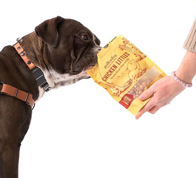 Polkadog Chicken Littles Crunchy Training Bits 3 Pack - All Natural, Limited Ingredient, Training Treats for Dogs. Great for Allergies, Handcrafted in USA - 7oz (3pk)