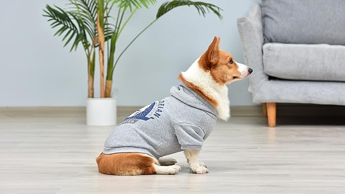 Star Wars for Pets The Mandalorian Dog Hoodie with Leash Attachment Hole, Officially Licensed Star Wars Dog Apparel, Machine Washable Polyester, Grey, Size Small