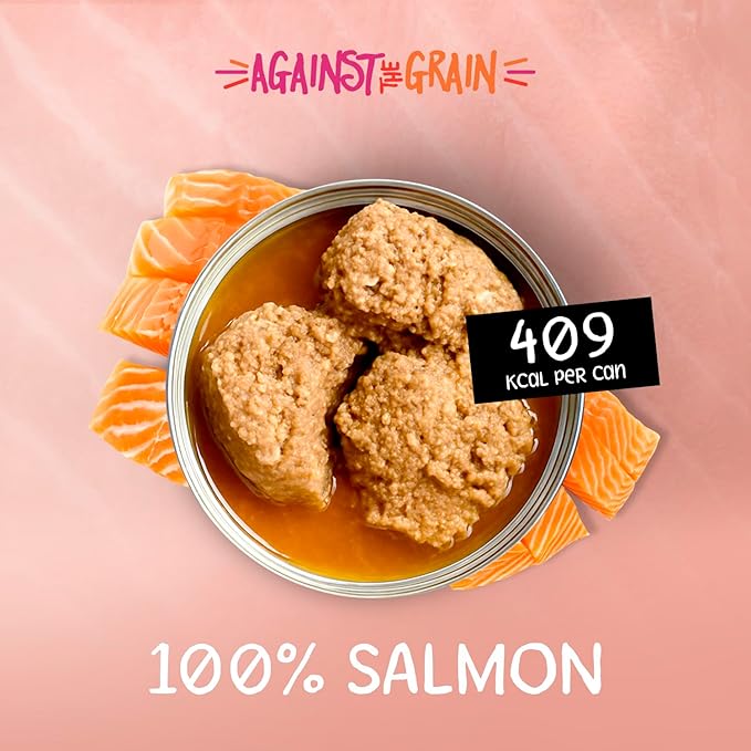 Evanger's Against The Grain Nothing Else! 100% Salmon Dog Food – 12 Count, 11 oz Each – Single-Ingredient Meatball Texture in Natural Broth – Wet Dog Food – Grain & Gluten Free