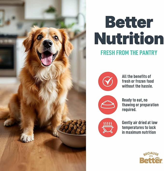 Because It’s Better Slow Baked & Air Dried Dog Food - Real Beef & Veggies - Complete & Balanced Dry Dog Food - Grain Free, High Protein, Natural Nutrition for All Life Stages, 1 lb Bag