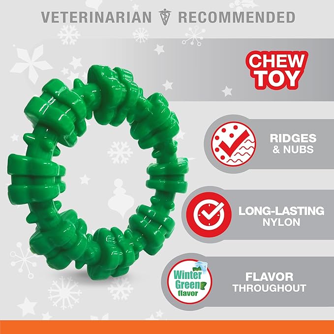 Nylabone Textured Ring Power Chew Toy for Dogs, Dog Toys for Aggressive Chewers, Winter Green Flavor, Small - Up to 25 lbs, 1 Count (Pack of 2)