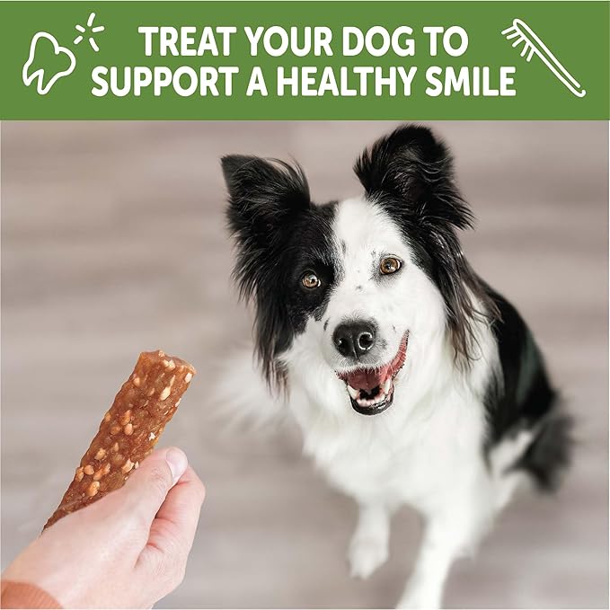 Whimzees Wellness Veggie Strip Dog Dental Treat, Chews, Freshens Breath, Medium Size, 14.81 oz Bag, 14 Count
