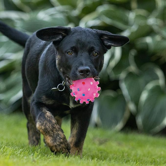 Colorful Chew Ball Squeaker for Cats and Dogs Quack Sound Pet Toy Random Spiky Design for Chewing and Playtime