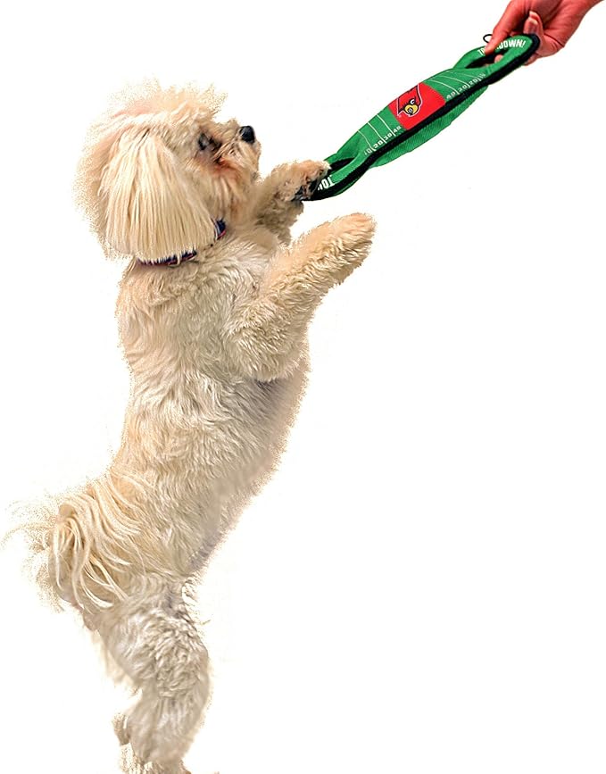 NCAA Football Field Dog Toy with Squeaker. - Louisville Cardinals - for Tug, Toss, and Fetch. - Tough& Durable PET Toy