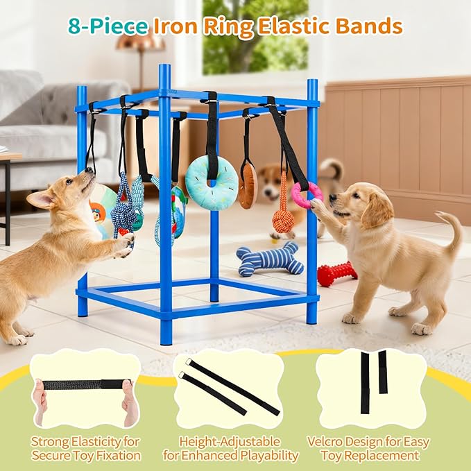 Wooden Puppy Play Gym for Small Dogs, Puppy Jungle Gym with 8 Hanging Toys, Wood Frame Indoor Puppy Gym with Dog Enrichment Toys for Puppies and Small Pets (Blue)