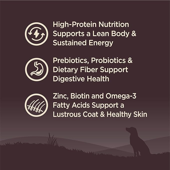 Wellness CORE Adult Dry Dog Food, Grain Free Kibble, Natural, High Protein, Chicken Free, Whitefish, Herring and Salmon Recipe, 12 lb Bag