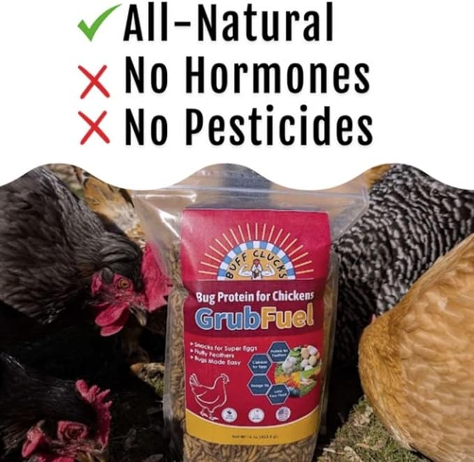 Buff Clucks Grub Fuel Black Soldier Fly Larvae for Chickens - Nutrient Packed BSFL, Sustainably Sourced Snack for Poultry, Rich in Protein, Calcium, Fiber, Essential Fatty Acids, USA Grown (5LB)