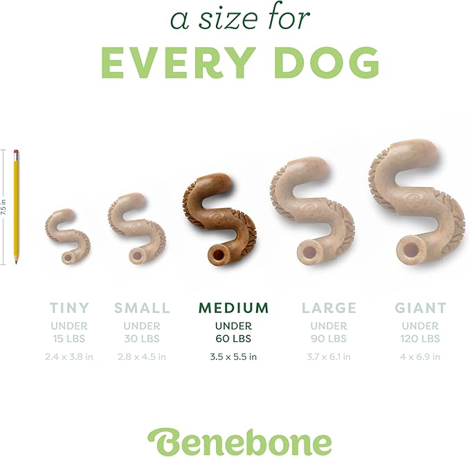 Benebone Tripe Bone Durable Dog Chew Toy for Aggressive Chewers, REAL Beef, Made in USA, Medium