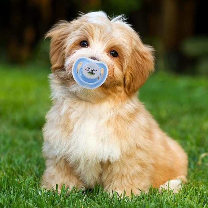 4Pcs Pet Pacifiers for Dogs Cats, Silicone Calming Pacifier, Cute Puppy Kitten Suckling Soother, Soothing Companions Chew Toys, Animals Teething Supplies for Bedtime Naptime Travel Chewing