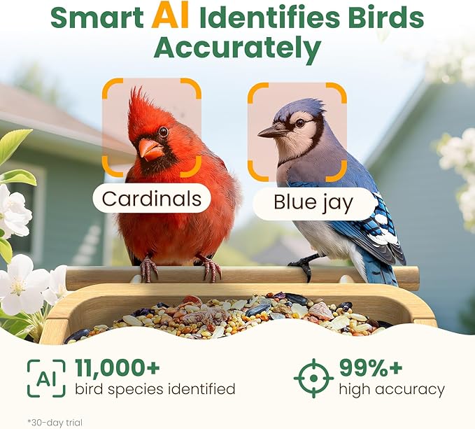 Smart Bird Feeder Camera with Solar Panel (Bamboo), 2.5K UHD AI Identification, Real-time Videos & Pictures, Wireless Solar Powered Outdoor, Ideal Garden Decor & Bird Watcher, Gift for Dad