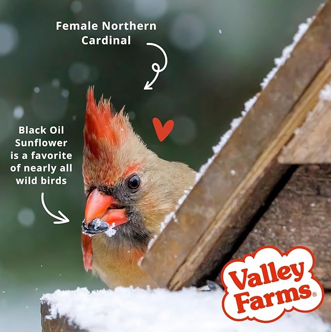 Valley Farms Fruit Nut & Berry 4 LB 2-Pack (8 LB Total) Wild Bird Food for Outside Feeders, Bird Seed with Dried Fruit, Peanuts Sunflower Hearts, Safflower High Energy Mix for Healthy Birds!