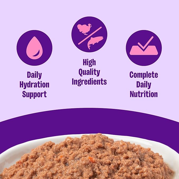 Wellness Complete Health Pate Adult Canned Wet Cat Food, Natural, Protein Rich, Grain Free, Turkey and Salmon Dinner Recipe, 3 oz, Pack of 24 Cans