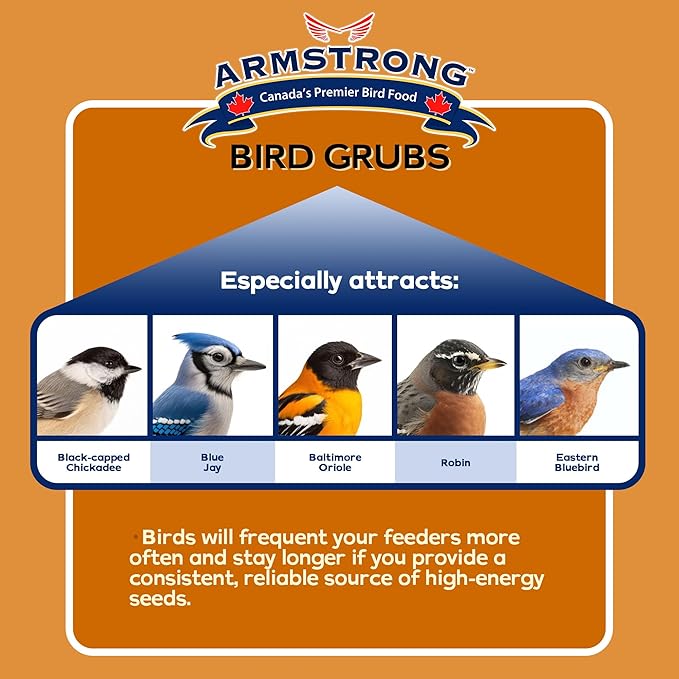 Armstrong Bird Grub Dried Black Soldier Fly Larvae, 1.1lbs (Pack of 4) - Total 4.4lbs - High-Calcium, Natural Mealworm Alternative for Orioles, Bluebirds, & Chickadees - Ideal for Outdoor Feeders
