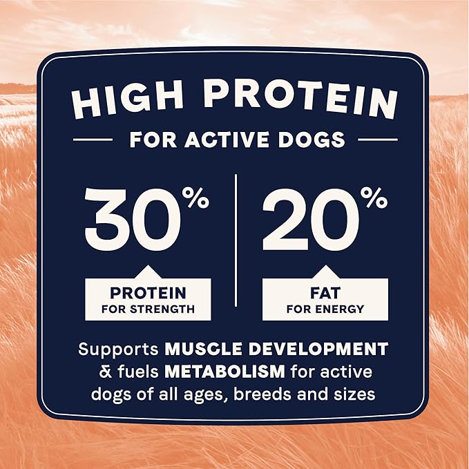Canidae All Life Stages High Protein Multi-Protein Recipe with Chicken, Turkey, Lamb, and Fish – Premium Dry Dog Food for All Ages, Breeds, and Sizes– 27 lbs.