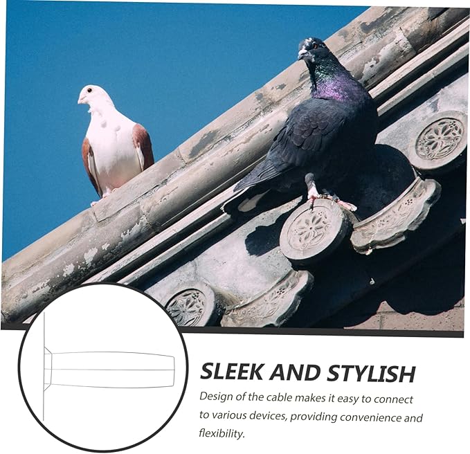 Sosoport 4pcs Racing Pigeon Birds House Door Bird Cage Door Sturdy Iron Frame Safe Pigeon Entrance