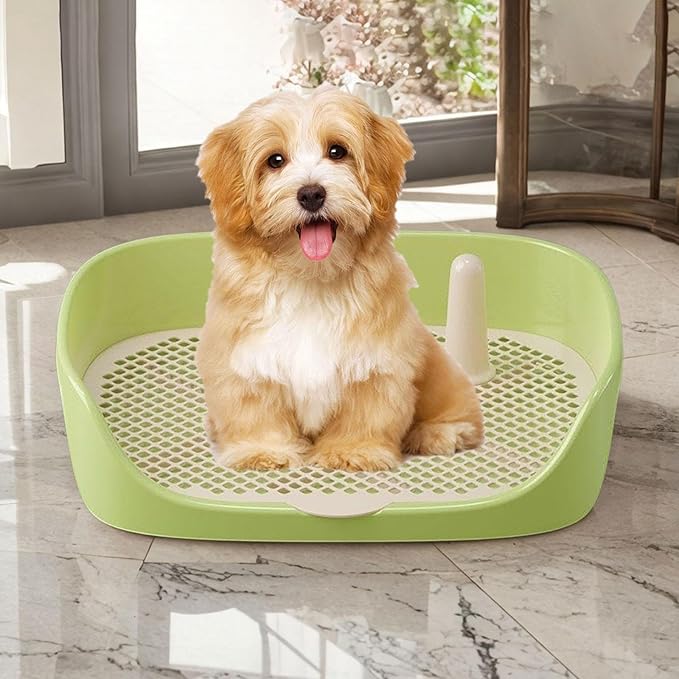 Litter Tray Pet Kitten Toilet Training Potty Pet Litter Pan Portable Design Anti Splashing Function Suitable for Small Animal Indoor Outdoor, Green 40x30x11cm