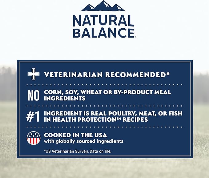 Natural Balance Health Protection Large Breed Dry Dog Food – Whole Body Health, Easy on Digestion Dog Food Made with Salmon, Brown Rice & Pumpkin for Dogs - 26lbs