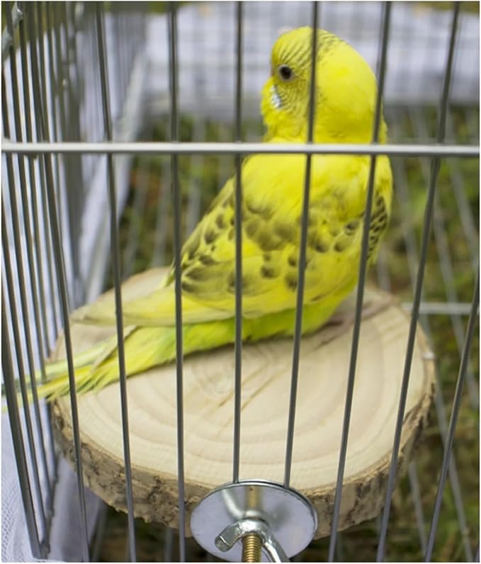 Bird Cage Platform 6pc Random Color Circular Wooden Jumping Board Parrot Stand Toy for Small Pet Hamster Squirrel Bird Cages Accessories
