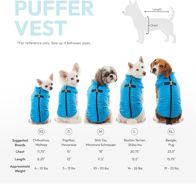 Gooby Puffer Vest - Orange, X-Large - Ultra Thin Zip Up Wind Breaker with Dual D Ring Leash - Water Resistant Small Dog Sweater Coat - Dog Clothes for Small Dogs or Medium Dogs