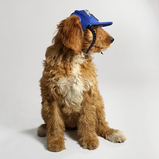Snoop Doggie Doggs Deluxe Pet Baseball Hat, Halftime, X-Small